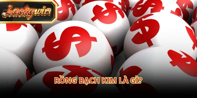 Rồng Bạch Kim xuất hiện từ sớm và vẫn duy trì sức hút tới hiện nay