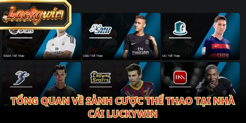 Thể thao Luckywin phục vụ nhu cầu cá cược ngày càng cao của người dùng